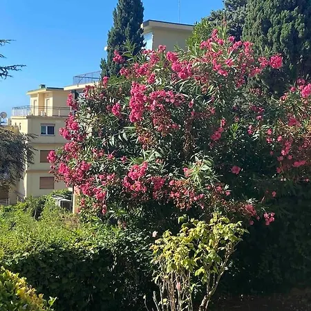 Bilocale In Zona Residenziale Apartment *